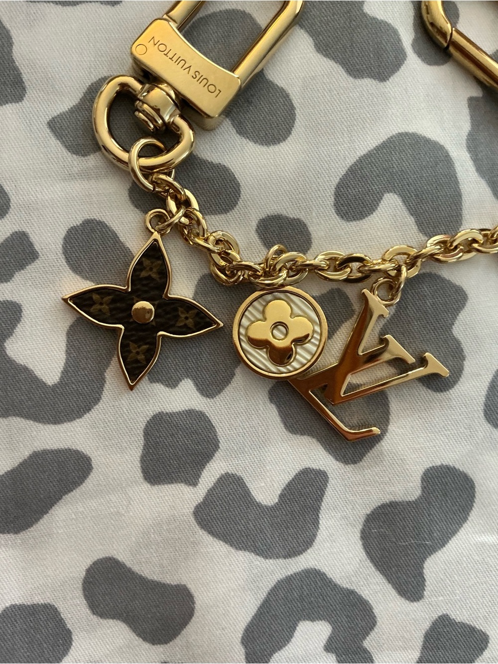 Louis Vuitton Spring Street Chain Bag Charm - Picture 8 of 16